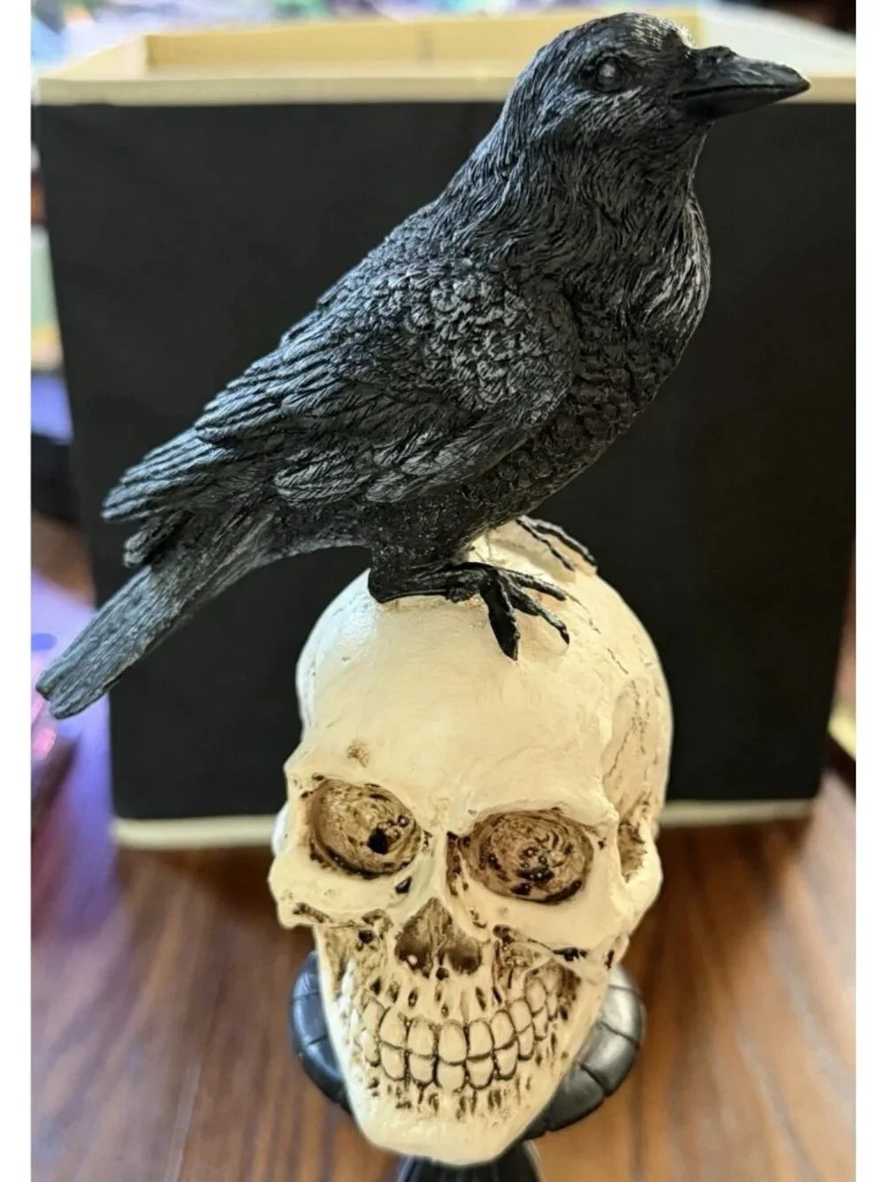 Raven On Skull On Pedastel Trimmed With Gold 15”
